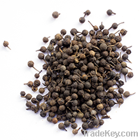 cubeb pepper