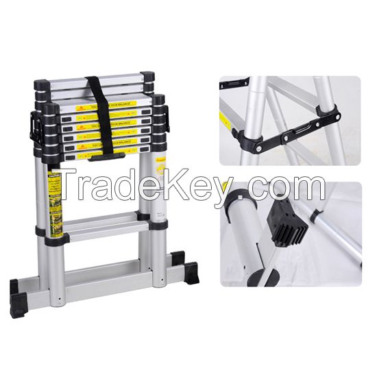 Double Telescopic Ladder