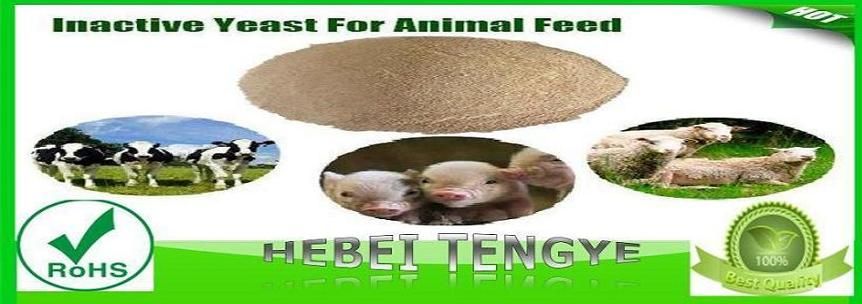 yeast animal feed for poultry 45% 50%