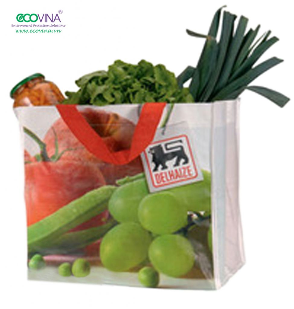 non woven laminated bag