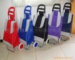 Trolley supermarket shopping cart