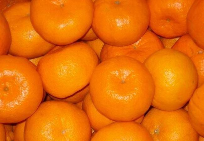 Best selling fresh chinese mandarin oranges