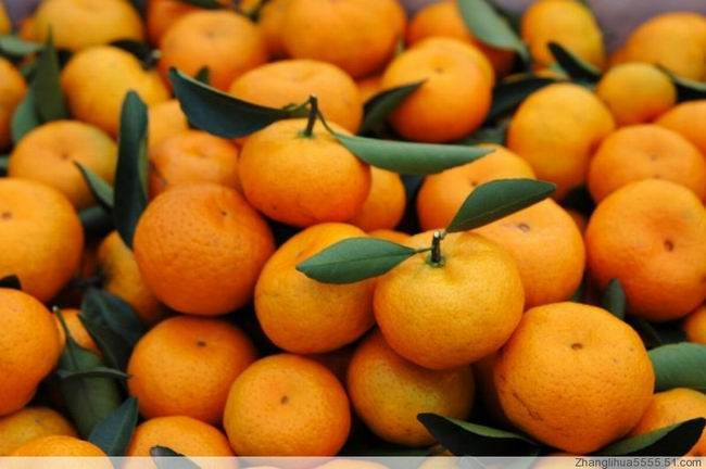 Fresh china orange and mandarine