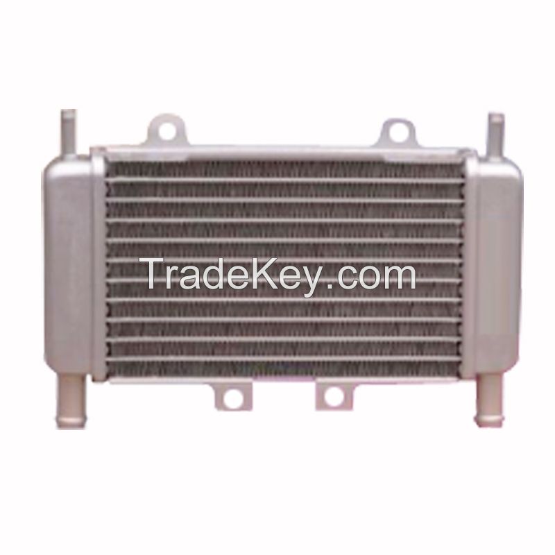 Aluminum Motorcycle Accessories Radiator for Piaggio (OE#299389)