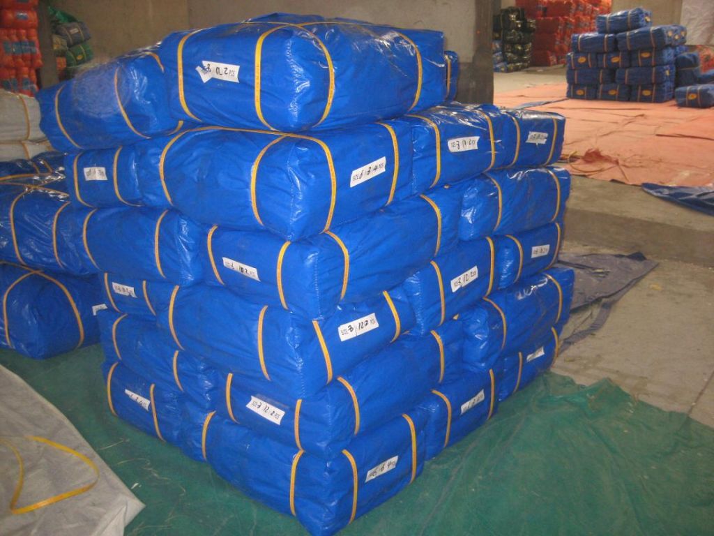 PE tarpaulin sheet/cover, pe tarpaulin rolls