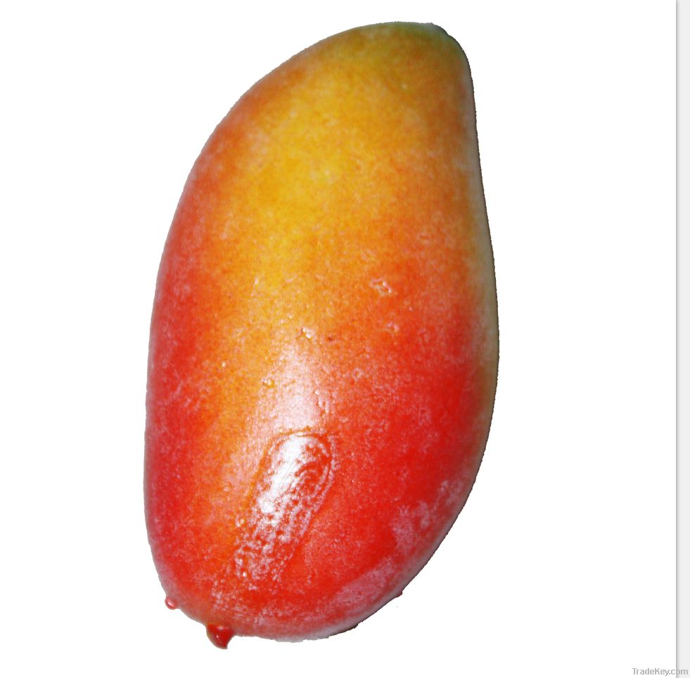 Artificial Fruit