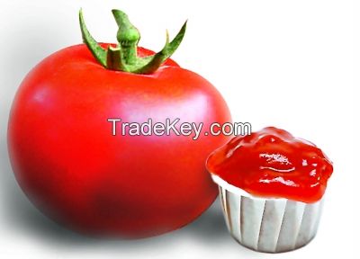 Hot Sell Canned Tomato Paste, Tomato Sauce, Tomato Ketchup