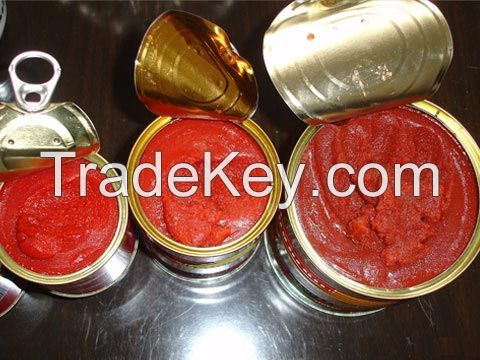 best quality reasonable price tomato ketchup supplier