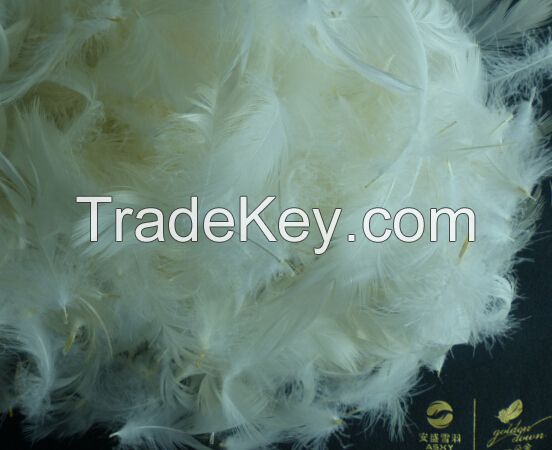 Hot SellingWashed White/Grey Duck Feather for Filling Sofa, Cushion, Bedding Products