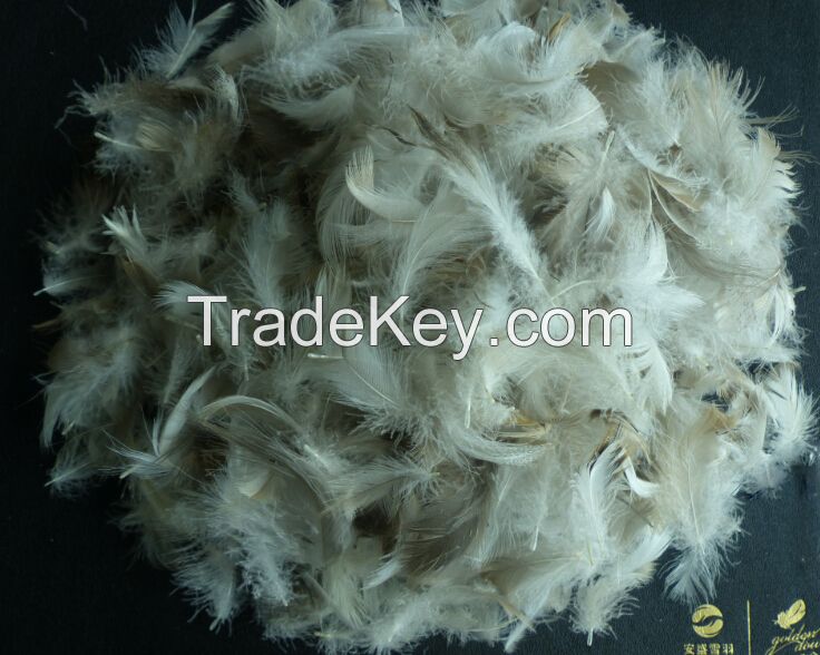 Hot SellingWashed White/Grey Duck Feather for Filling Sofa, Cushion, Bedding Products