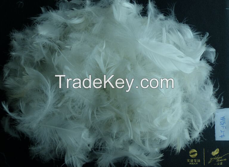 Hot SellingWashed White/Grey Duck Feather for Filling Sofa, Cushion, Bedding Products