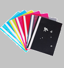 A4 2ring business folder