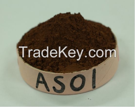Supply Alkalized Cocoa Powder(Cacao Polvo) 10/12 AS01 for Purchasing
