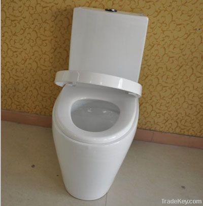 Washdown one-piece toilet