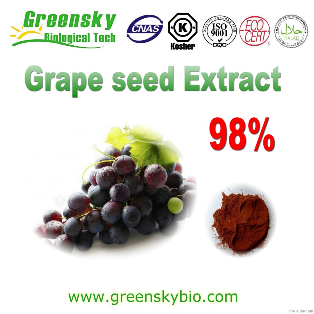 Free sample best price grape seed extract 95% proanthocyanidin