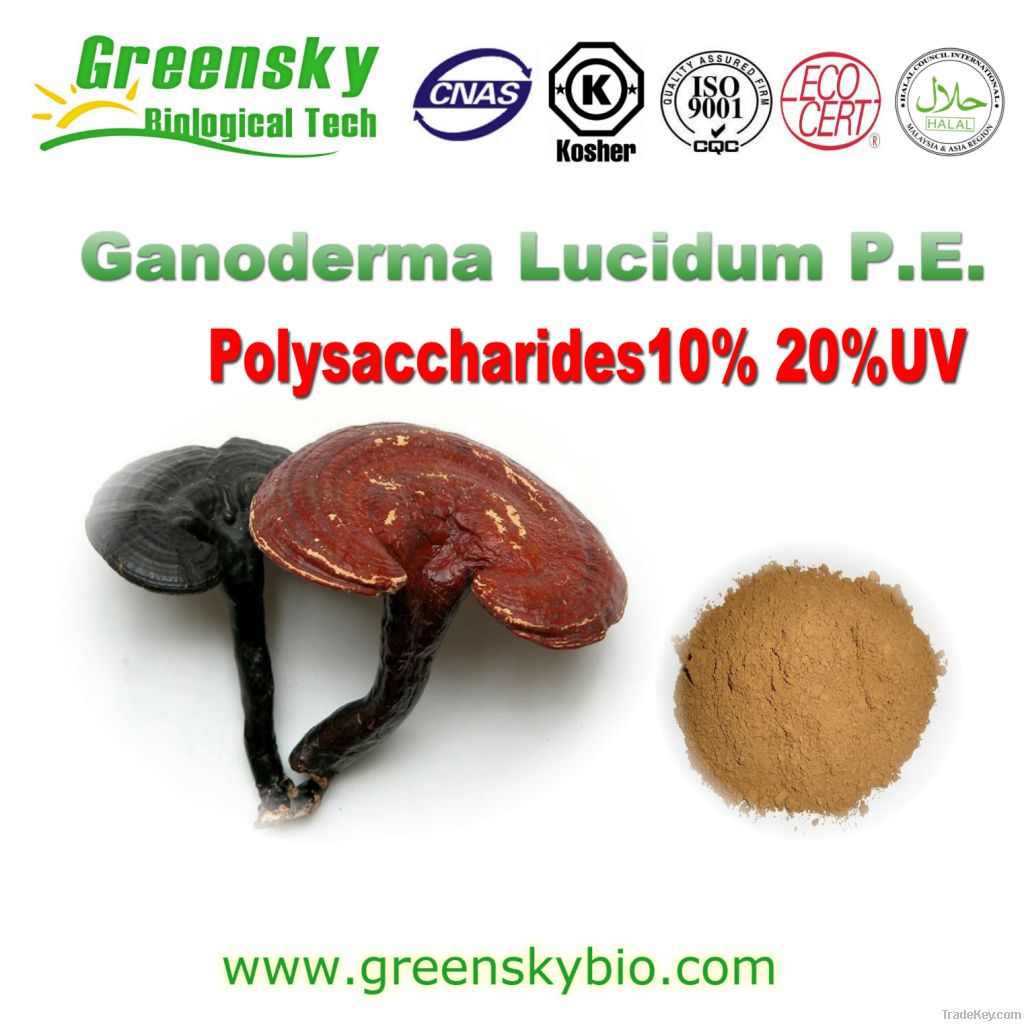 100% Natrual Reishi Extract ganoderma lucidum