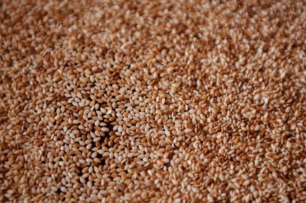 Sesame Seeds