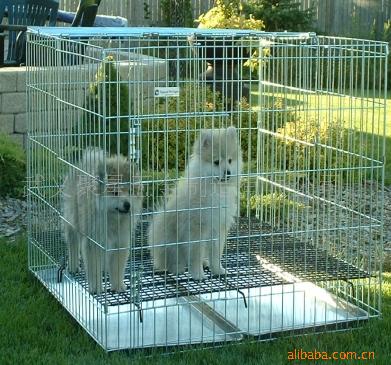 sell pet cage