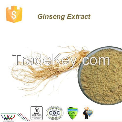 free sample anti-fatigue ginsenosides ginseng extract