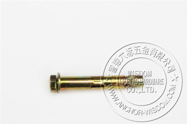Sleeve Anchor with hex bolt