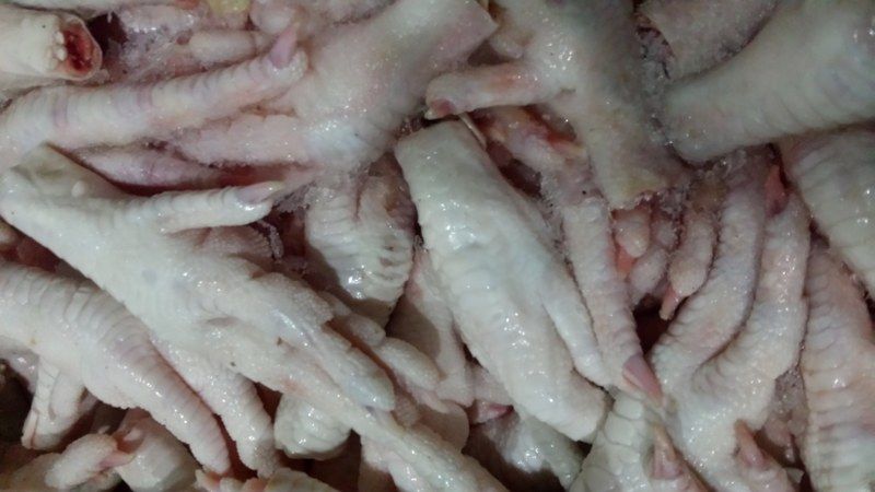 Frozen Chicken Feet and Paw