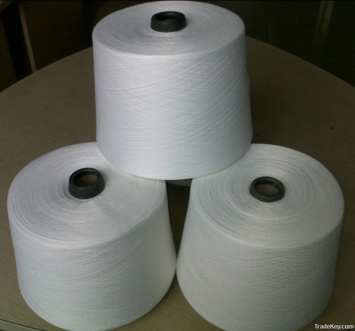 polyester monofilament