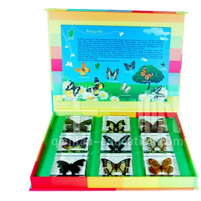 1715Qianfan Butterflies Embedded Specimen Preschool Toys 