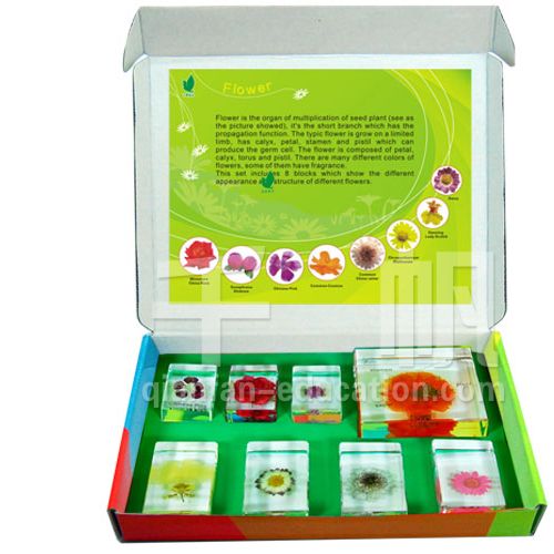  2708 Qianfan Embedded Specimen Flowers intelligence toys for kindergarden