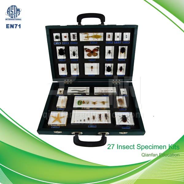 TS0007 27-Insect Specimen Kits Educational Embedded Specimen
