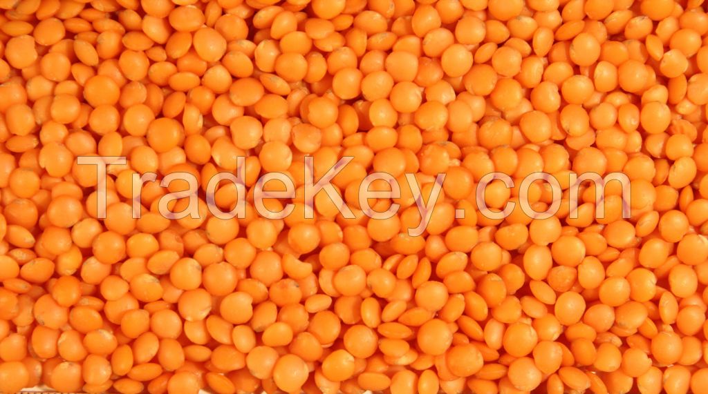 Football Whole Red Lentil 