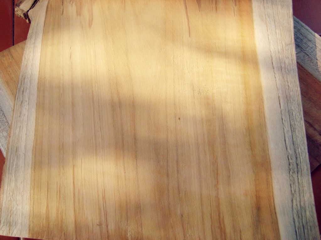 Teak Log from Thailand Circumference 95-99 cm. Diameter 30~35 cm. Length 650 