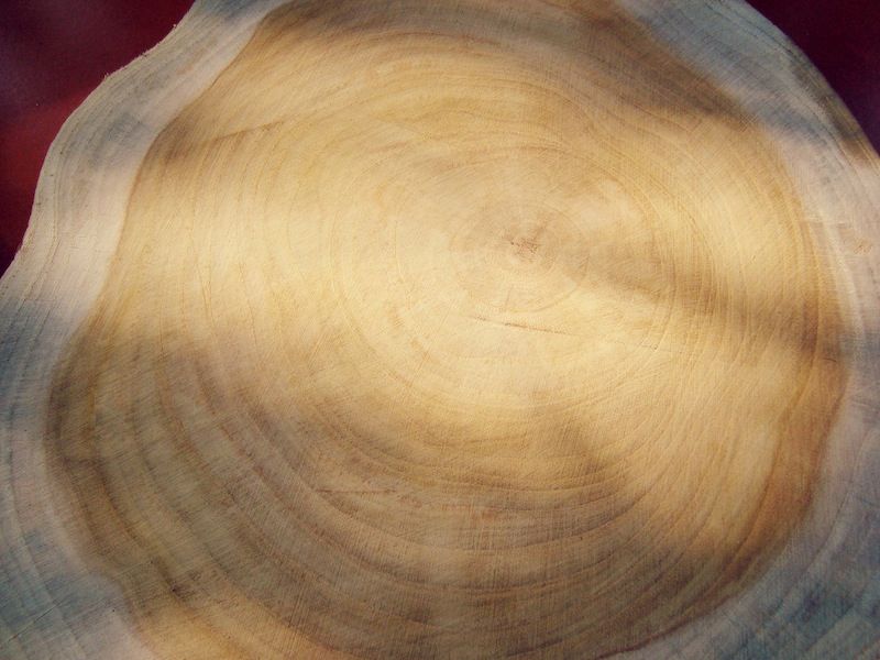 Teak Log from Thailand Circumference 95-99 cm. Diameter 30~35 cm. Length 650 