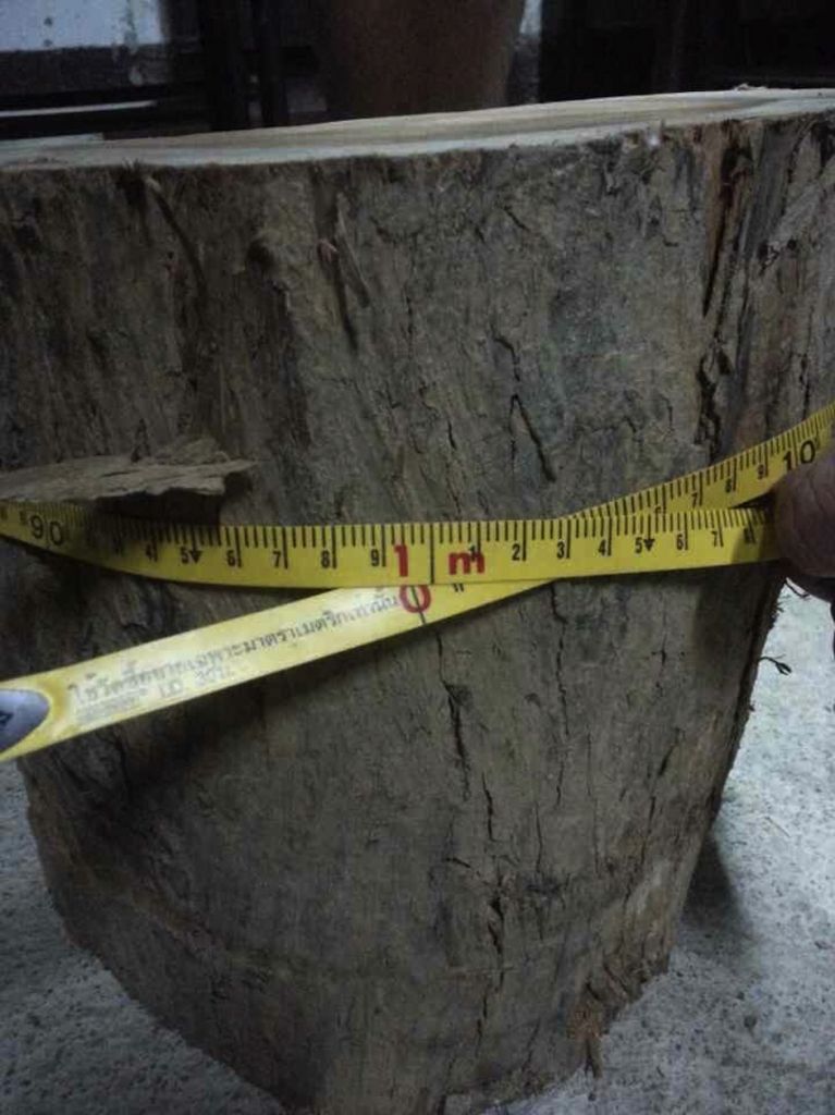 Teak Log from Thailand Circumference 95-99 cm. Diameter 30~35 cm. Length 650 