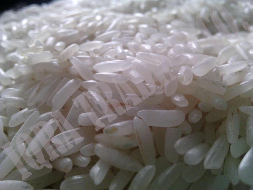 Long Grain IRRI-6 White Rice