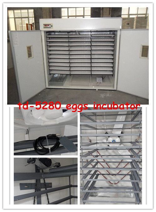 Top selling fully automatic eggs incubator in Kenya/5000 eggs incubator