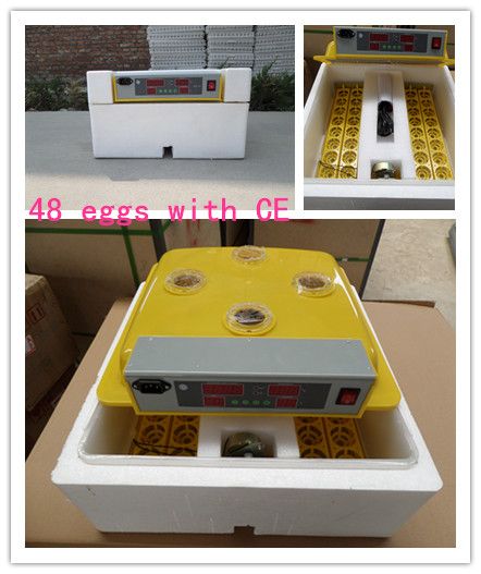 2014 new desgin tongda brand 48 eggs mini incubators made in china