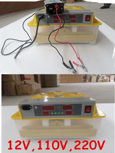 Mini incubator double power supply 220V&12V wq-48 eggs automatic egg incubator