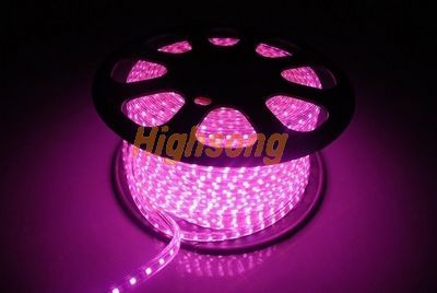 Purple LED strip light opreated in AC