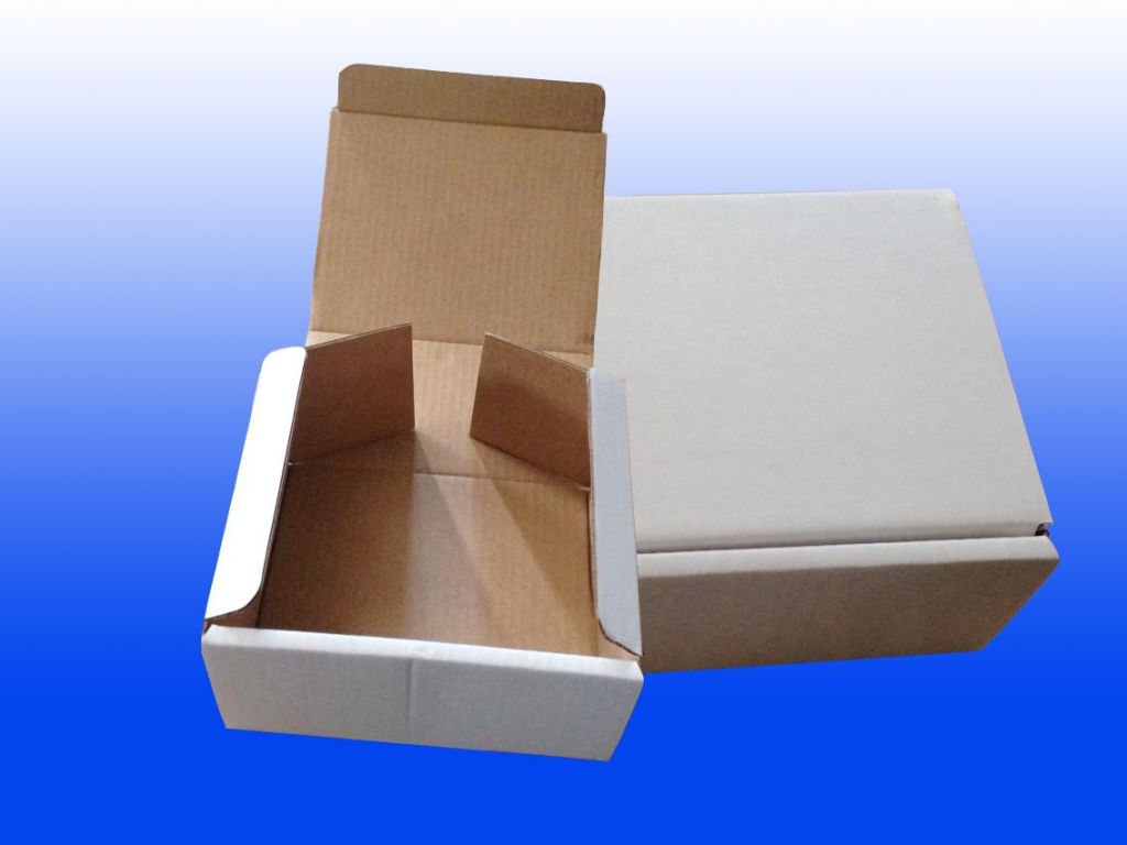 Paper Packaging BoxÃÂ CorrugatedÃÂ Carton