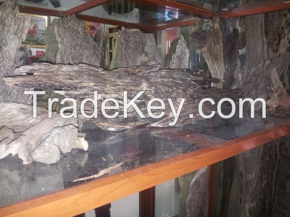 Agarwood Resin And Oil cambodia and Thailand