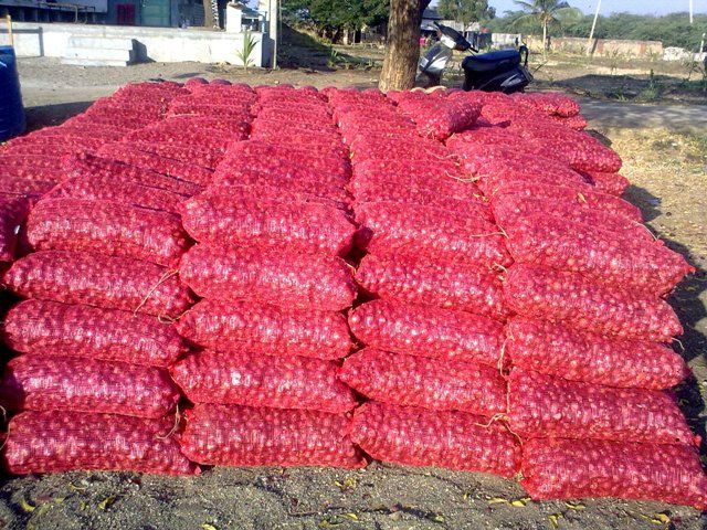 Fresh Onion Exporters
