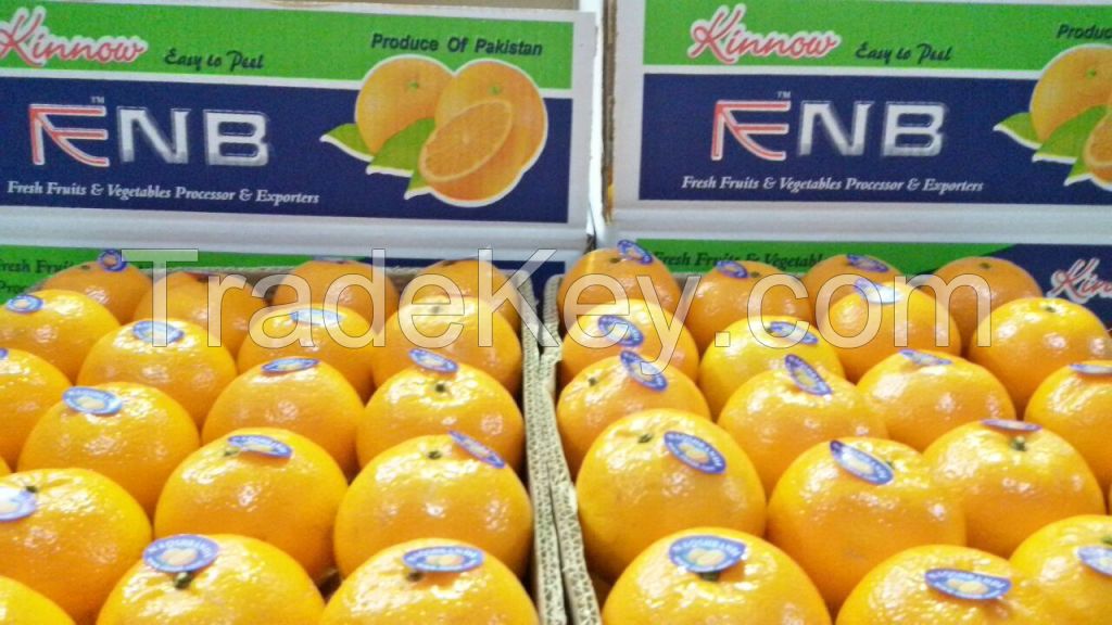 Fresh Mandarin (Kino) Oranges from Pakistan