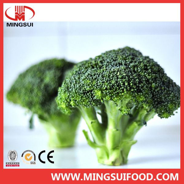 New crop frozen organic broccoli