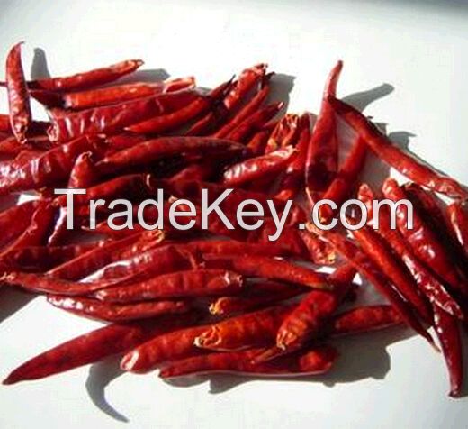 Tianying Chinese red chilli 