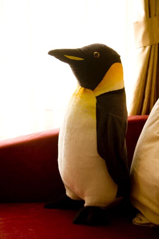 Penguin Plush Toy