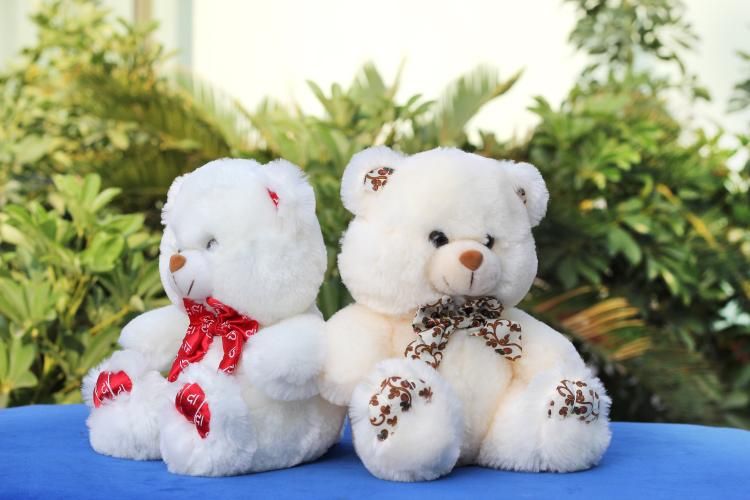 Baby Bear Plush Toy