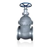 Cast Steel Gate Valve