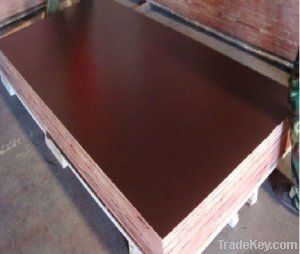 (4-30mm) Black Film Faced Plywood/Fancy Plywood/Building Construction