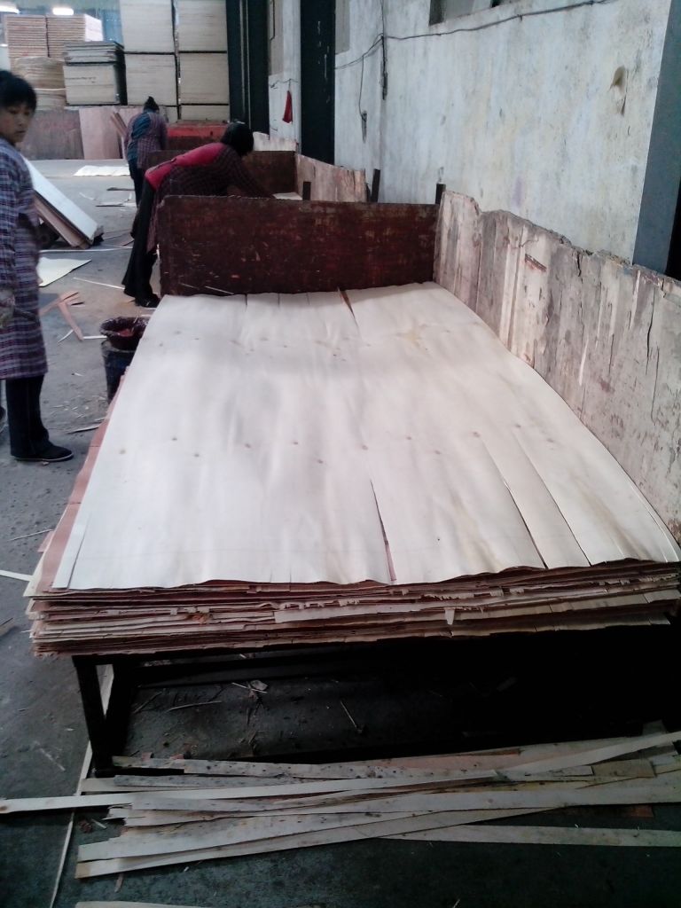 Film Faced Plywood ( Good Quality)