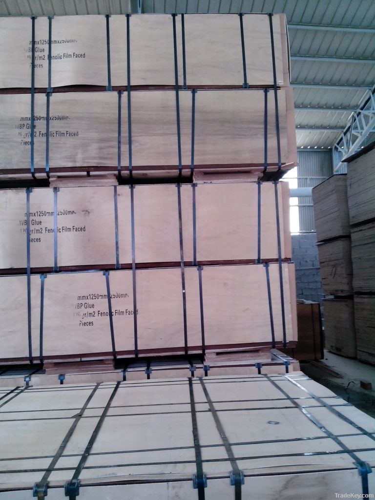 Film Faced Plywood ( Good Quality)